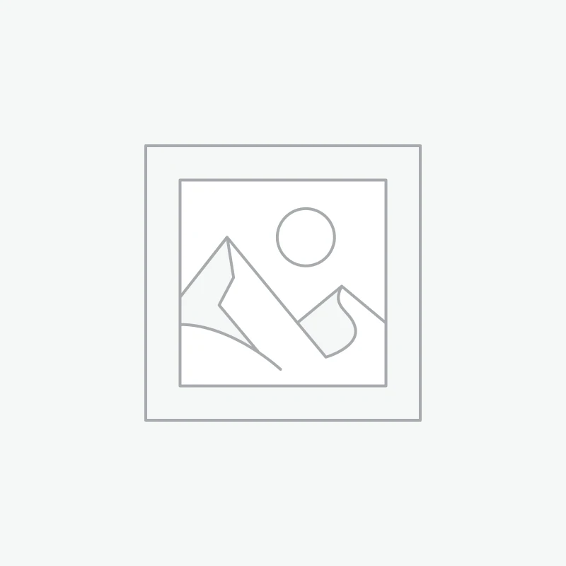 White cushion for Bridgerton chairs